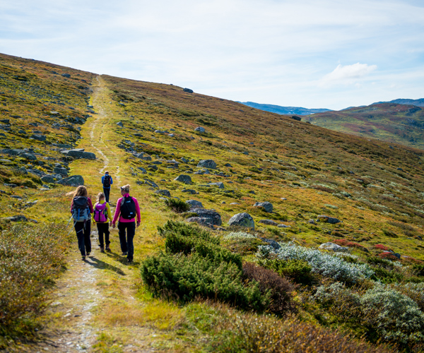 Kongevegen, Kyrkjestølen Maristova. Foto By Sverre Hjørnevik